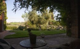 View of a serene outdoor garden with lush greenery, olive trees, and a wooden fence, taken from a cozy patio setting with a small table and a glass of wine. Ideal for relaxation and enjoying nature.