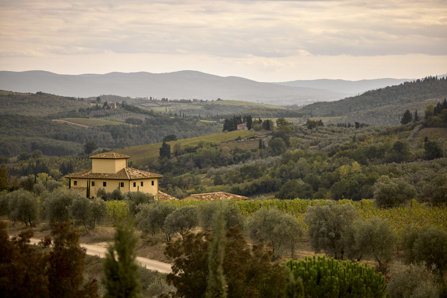 Scenic view of a Tuscan countryside landscape featuring rolling hills, olive groves, and a rustic villa under a cloudy sky. | Only on SopranoVillas