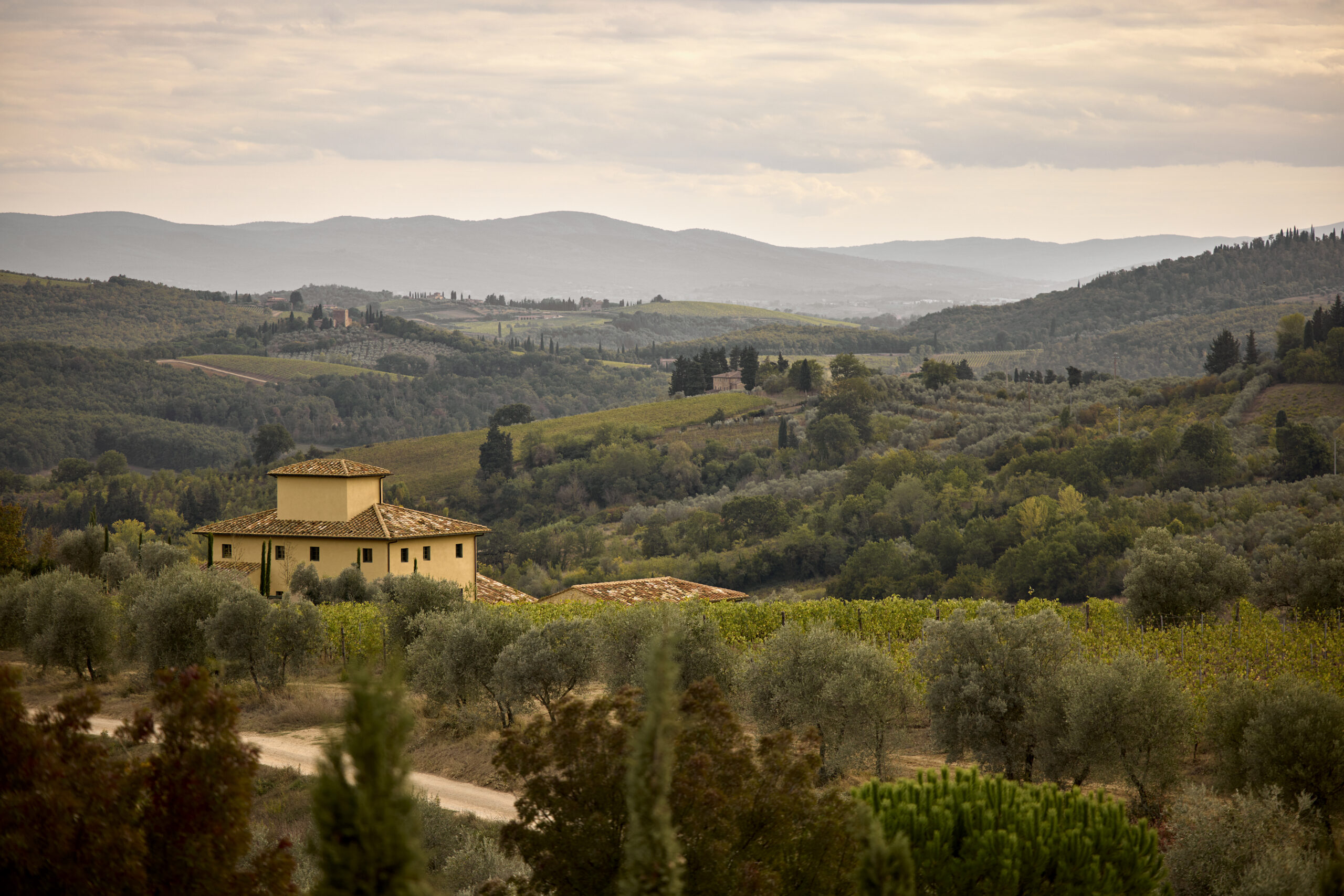 Scenic view of a Tuscan countryside landscape featuring rolling hills, olive groves, and a rustic villa under a cloudy sky. | Only on SopranoVillas