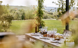 Outdoor dining setup featuring a wooden table adorned with elegant glassware, plates of food, and bottles of wine, set against a lush green landscape and distant hills. Perfect for a gourmet meal or gathering in a scenic setting.