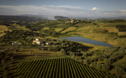 Aerial view of a picturesque vineyard landscape featuring lush green fields, a serene lake, and rolling hills under a clear sky, highlighting the beauty of rural Italian countryside.