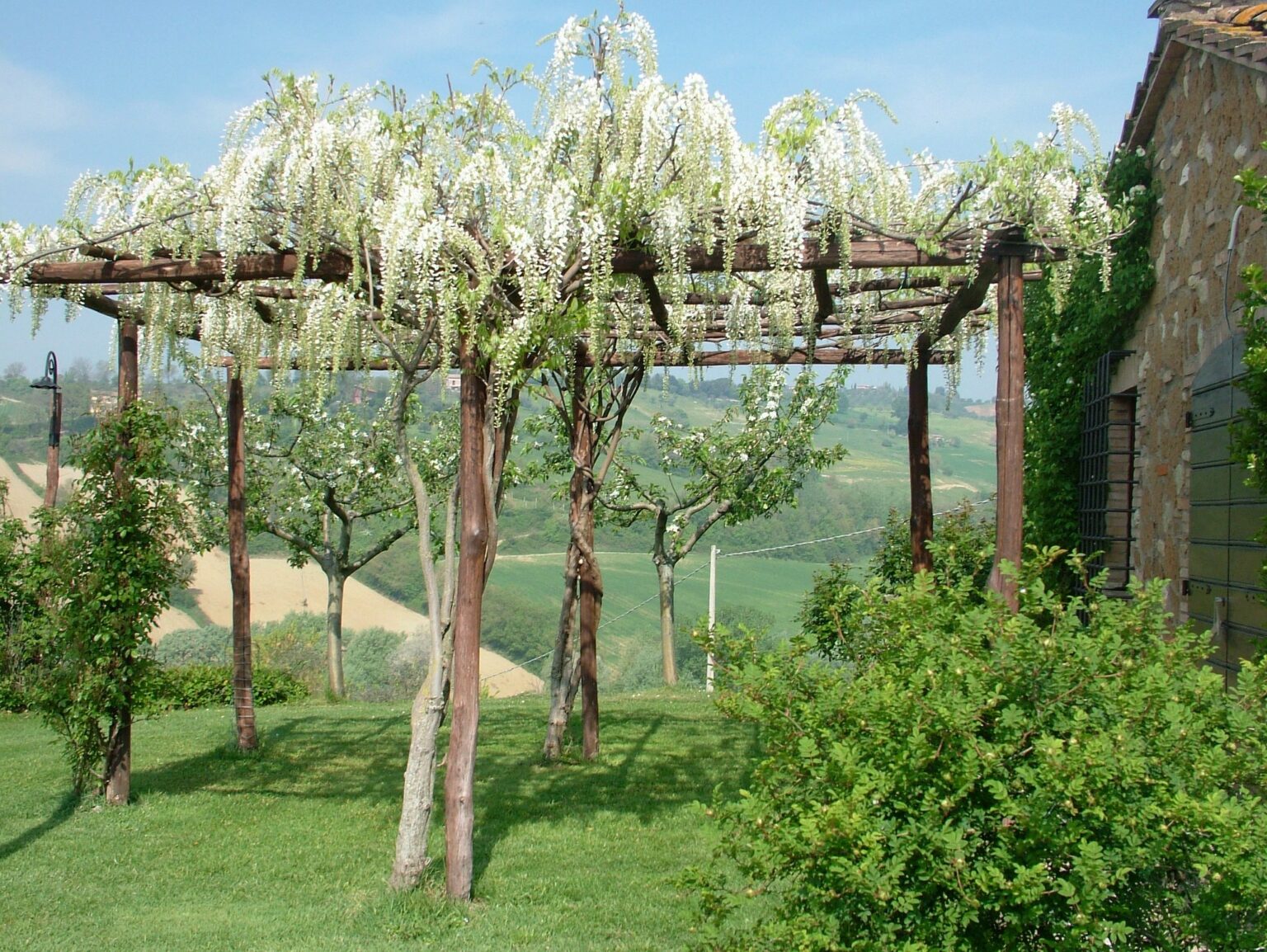 Wisteria-covered pergola in a lush garden with rolling hills in the background, showcasing vibrant greenery and a serene outdoor setting. | Only on SopranoVillas
