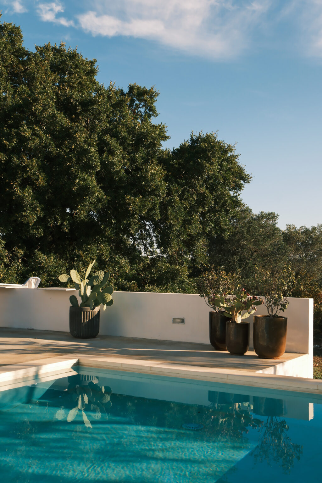 Modern outdoor pool area featuring clear blue water, surrounded by stylish planters with cacti and lush greenery under a bright sky. Ideal for relaxation and outdoor living. | Only on SopranoVillas