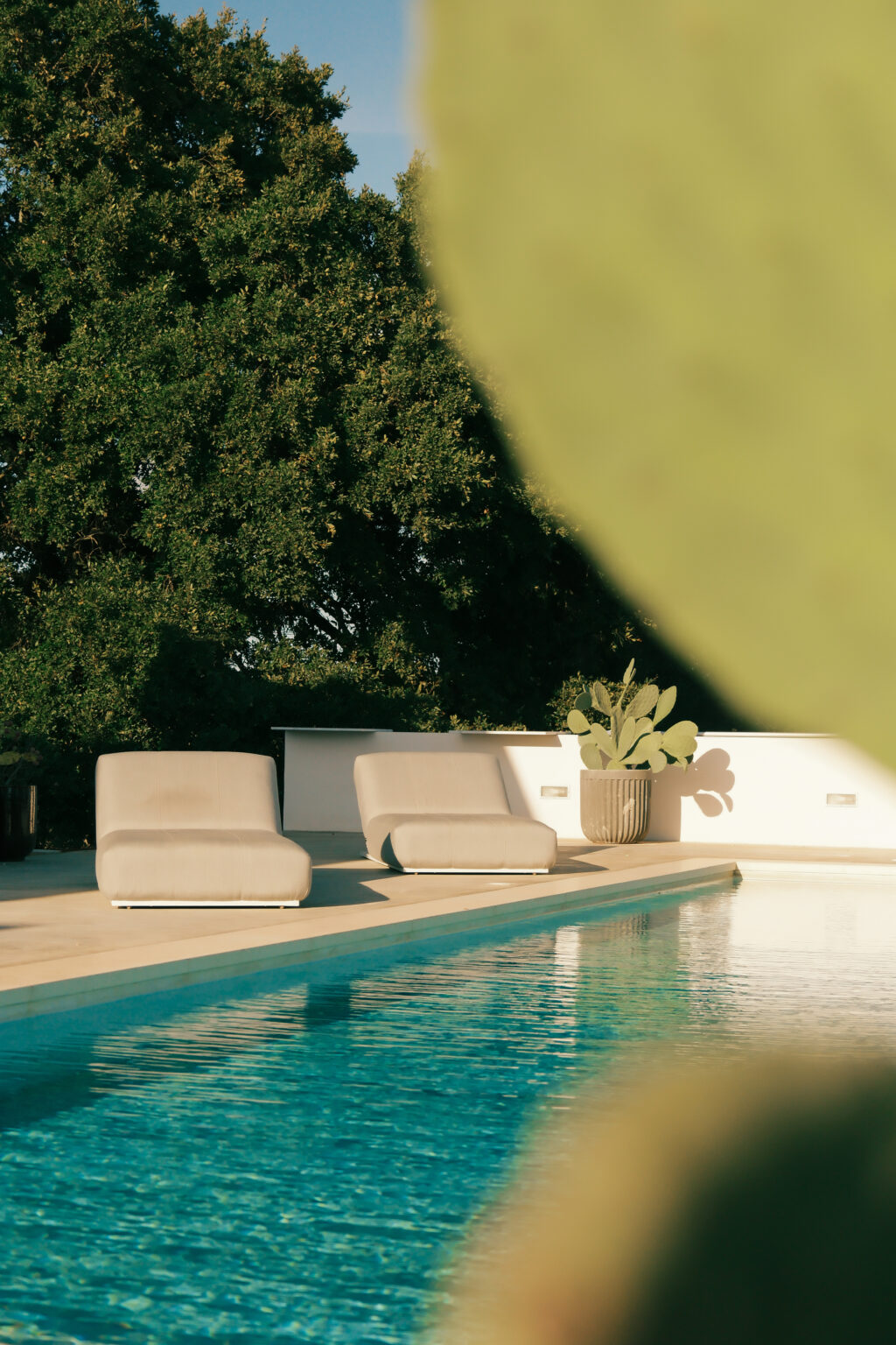 Lounge chairs beside a sparkling swimming pool, surrounded by lush greenery and a potted cactus, creating a serene outdoor relaxation space. | Only on SopranoVillas
