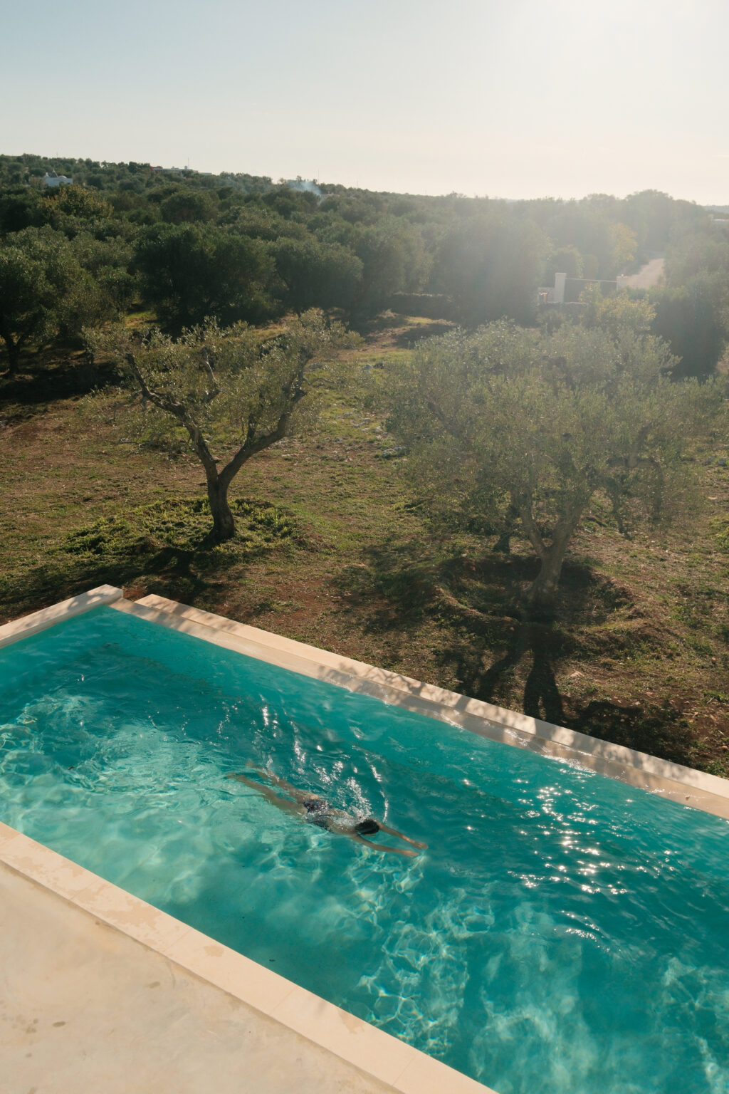 A serene outdoor swimming pool surrounded by lush greenery and olive trees, with a person swimming in the clear blue water under a bright sky. | Only on SopranoVillas