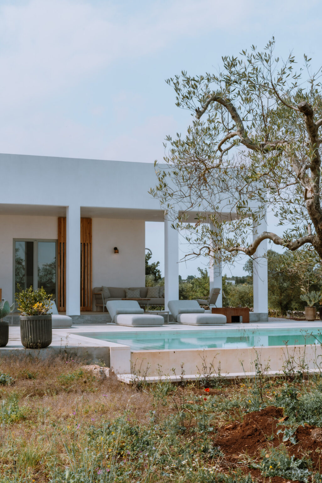 Modern villa with a swimming pool, featuring lounge chairs and a tree, surrounded by greenery. Ideal for luxury relaxation and outdoor living. | Only on SopranoVillas