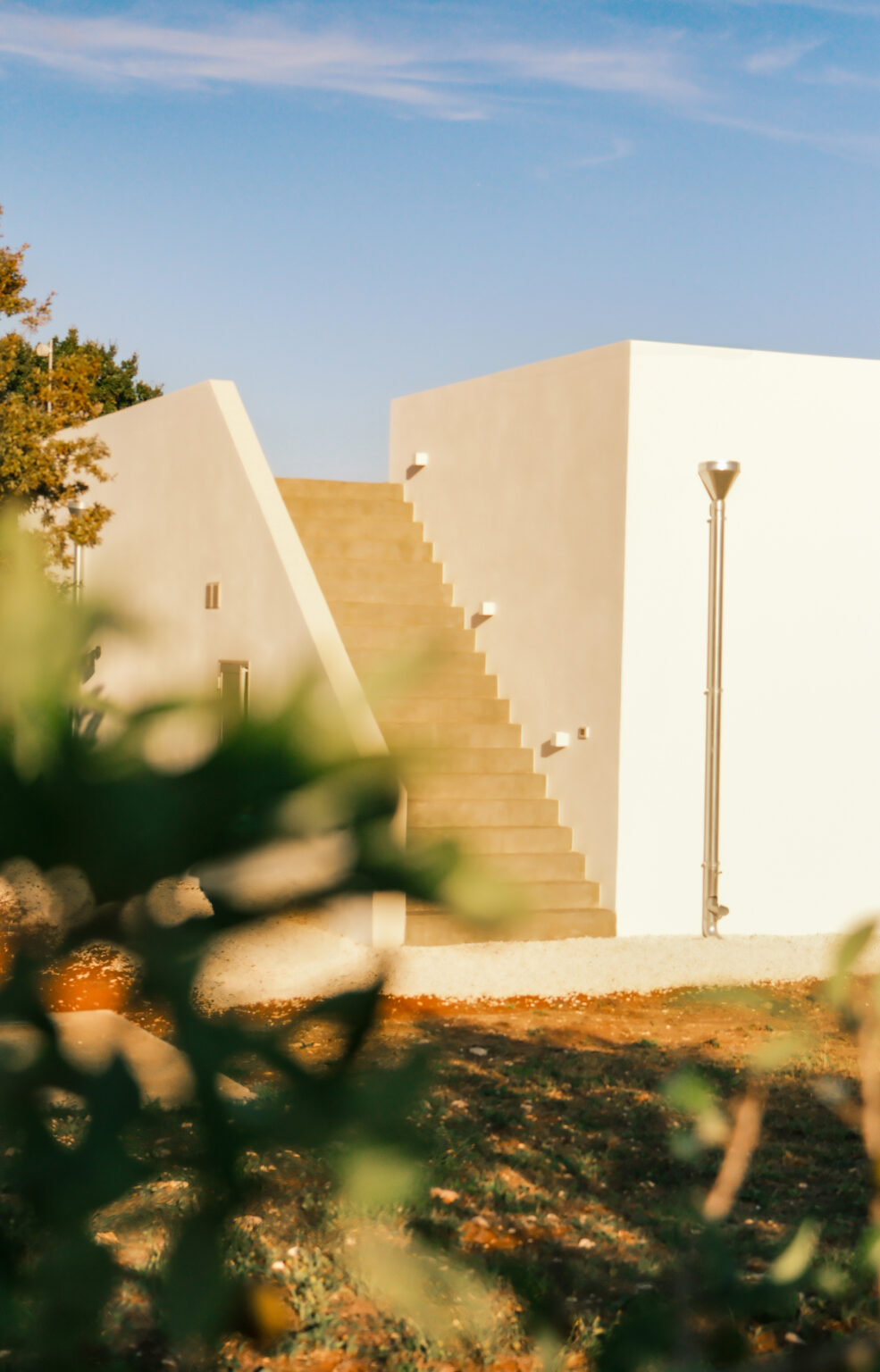 Modern architectural stairs leading to an upper level, surrounded by a minimalist design and soft lighting, with greenery in the foreground. | Only on SopranoVillas