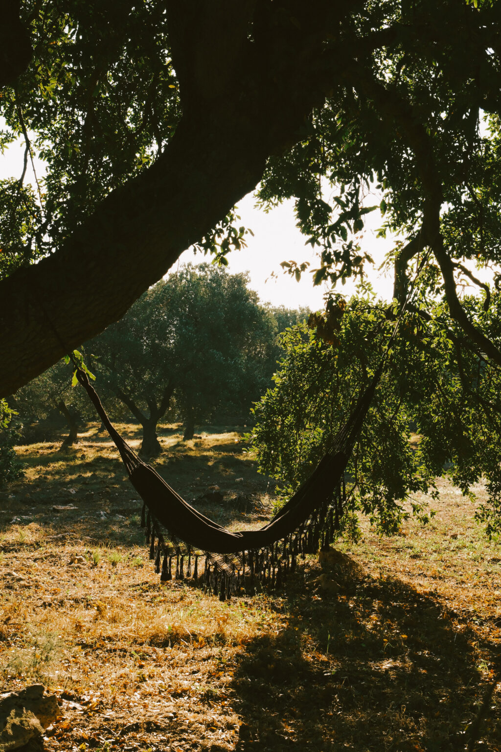 Hammock hanging between trees in a serene outdoor setting, surrounded by lush greenery and soft sunlight filtering through the leaves. | Only on SopranoVillas