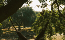  | Only on SopranoVillas