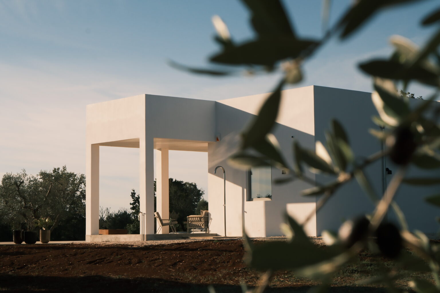 Modern white house with minimalist architecture surrounded by olive trees, set against a clear sky. | Only on SopranoVillas