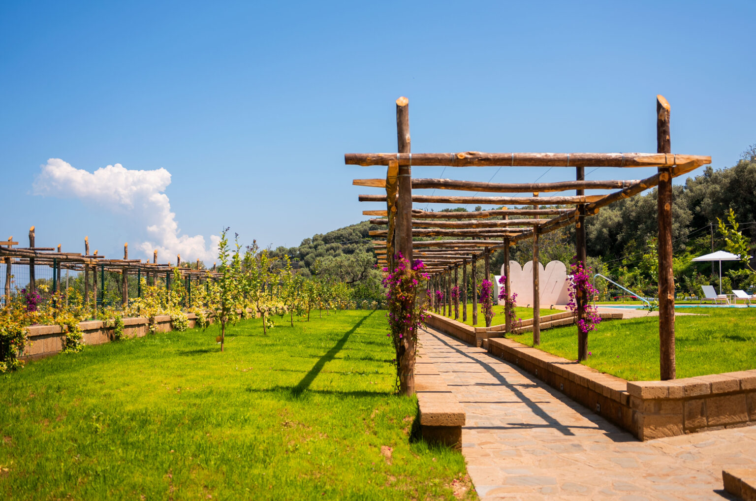 Lush green landscape featuring a wooden pergola adorned with blooming vines, set against a clear blue sky, creating a serene outdoor space ideal for relaxation and gatherings. | Only on SopranoVillas