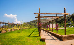 Lush green landscape featuring a wooden pergola adorned with blooming vines, set against a clear blue sky, creating a serene outdoor space ideal for relaxation and gatherings.