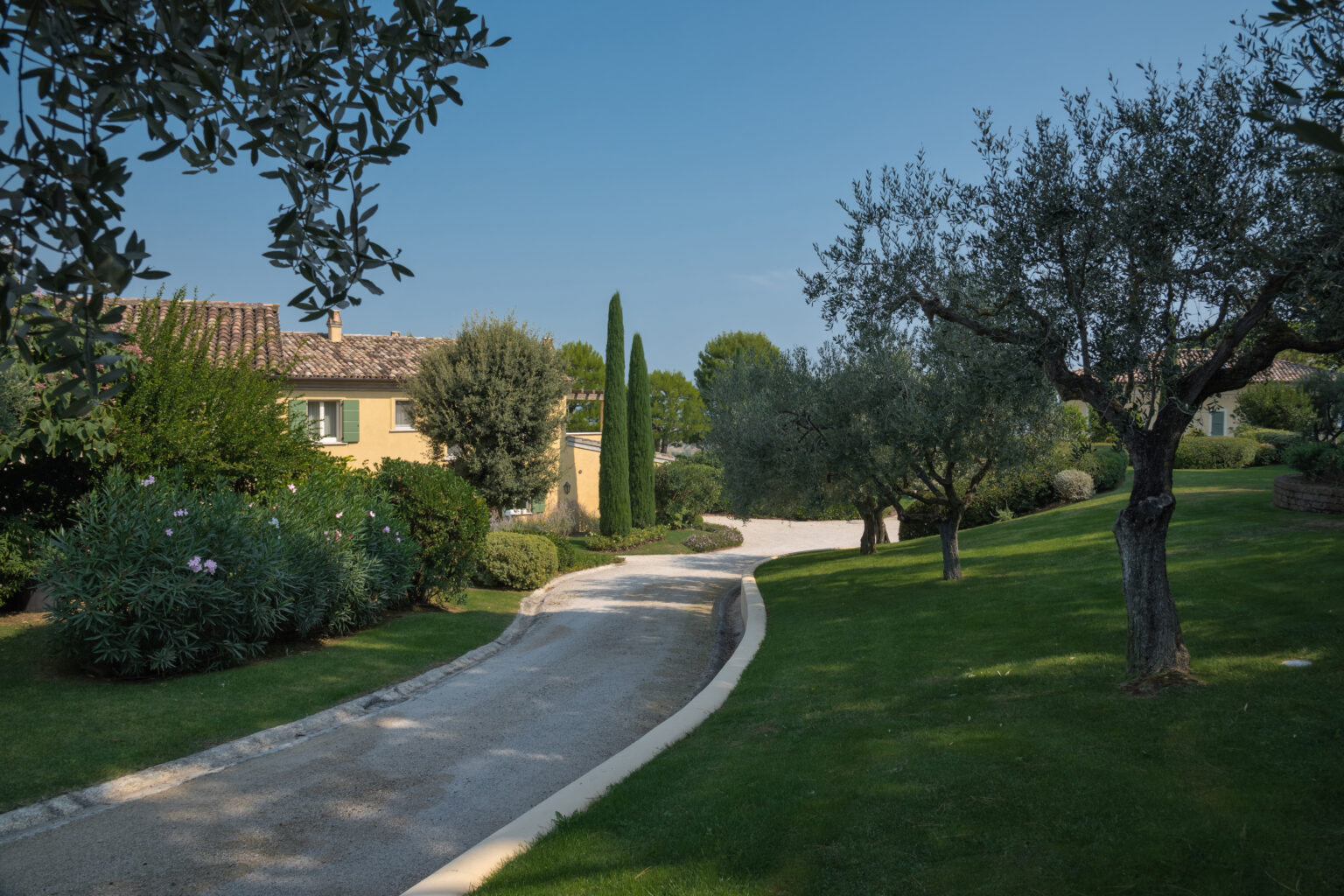 Scenic view of a winding driveway leading to a charming yellow house surrounded by lush greenery and olive trees under a clear blue sky. | Only on SopranoVillas
