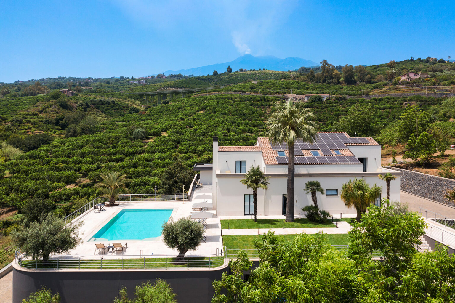 Modern villa with a swimming pool surrounded by lush green vineyards and palm trees, set against a clear blue sky and distant mountain view. Ideal for luxury vacation rentals in a scenic location. | Only on SopranoVillas