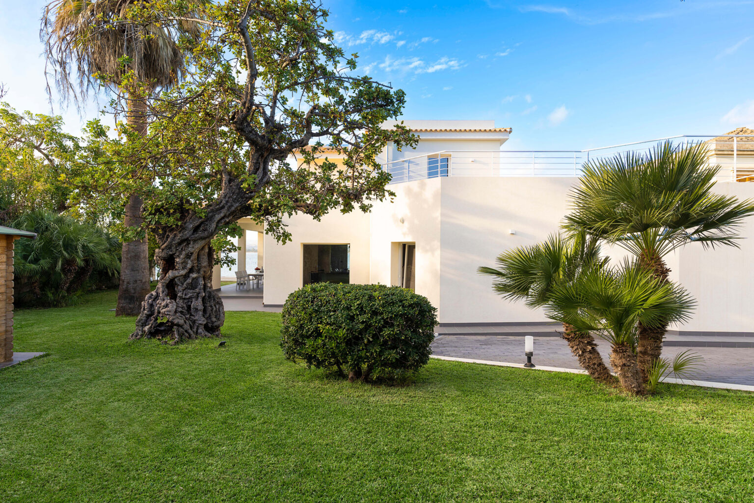 Lush green garden featuring a large, twisted tree and a palm tree, with a modern white house in the background. The image showcases a serene outdoor space with well-maintained grass and a patio area, perfect for relaxation and gatherings. | Only on SopranoVillas