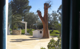  | Only on SopranoVillas