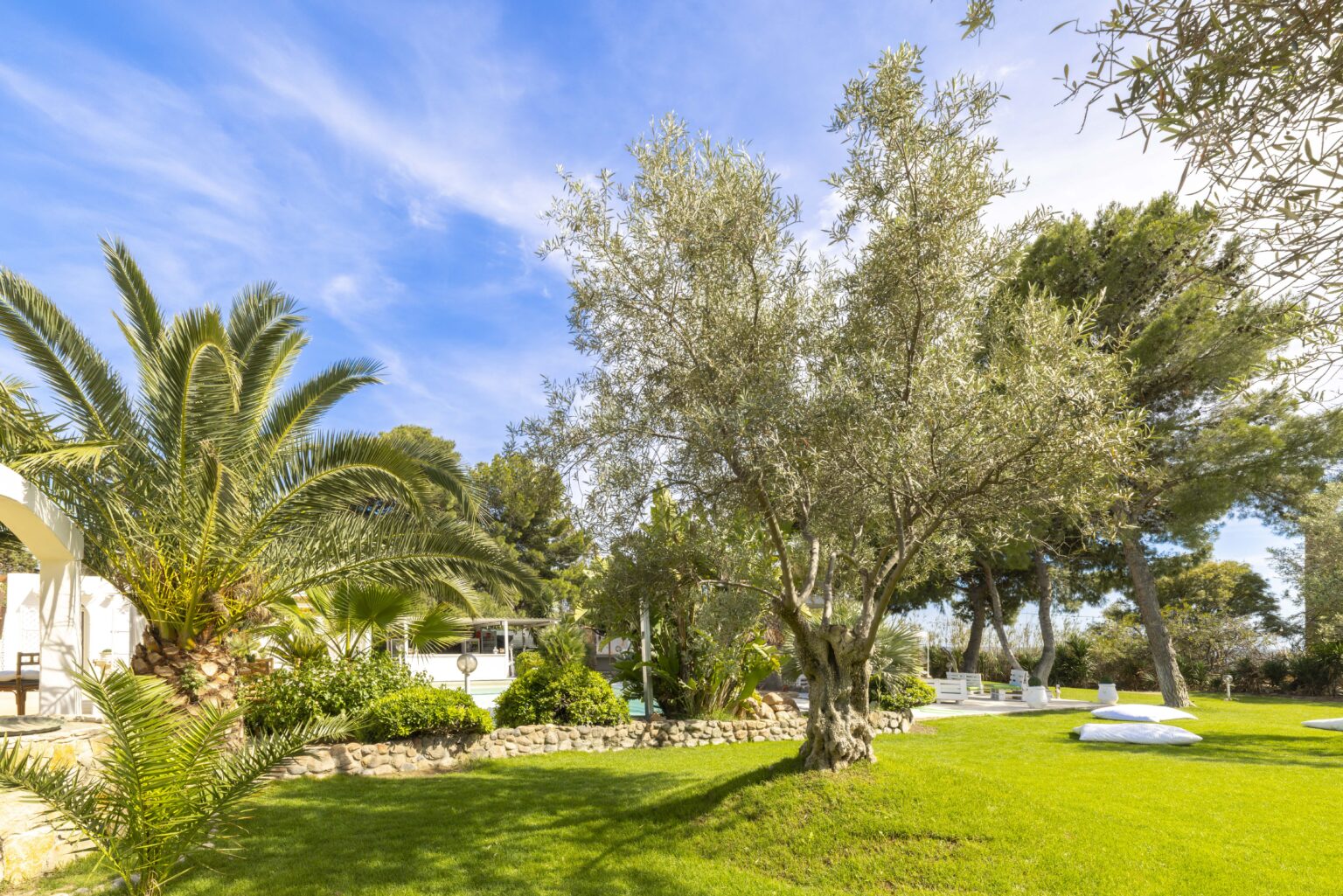 Lush green garden featuring palm trees and an olive tree under a clear blue sky, highlighting a serene outdoor space ideal for relaxation and leisure. | Only on SopranoVillas