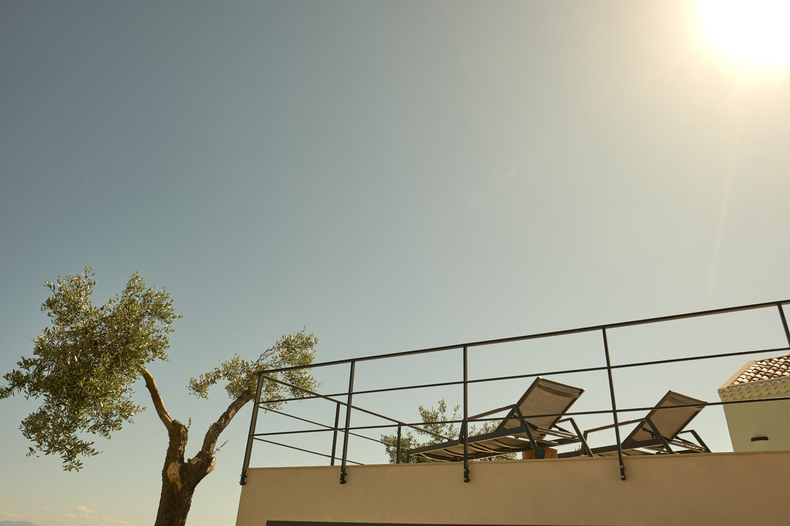Rooftop terrace with lounge chairs and a clear blue sky, featuring a sunlit atmosphere and an olive tree in the foreground. | Only on SopranoVillas