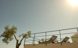 Rooftop terrace with lounge chairs and a clear blue sky, featuring a sunlit atmosphere and an olive tree in the foreground.