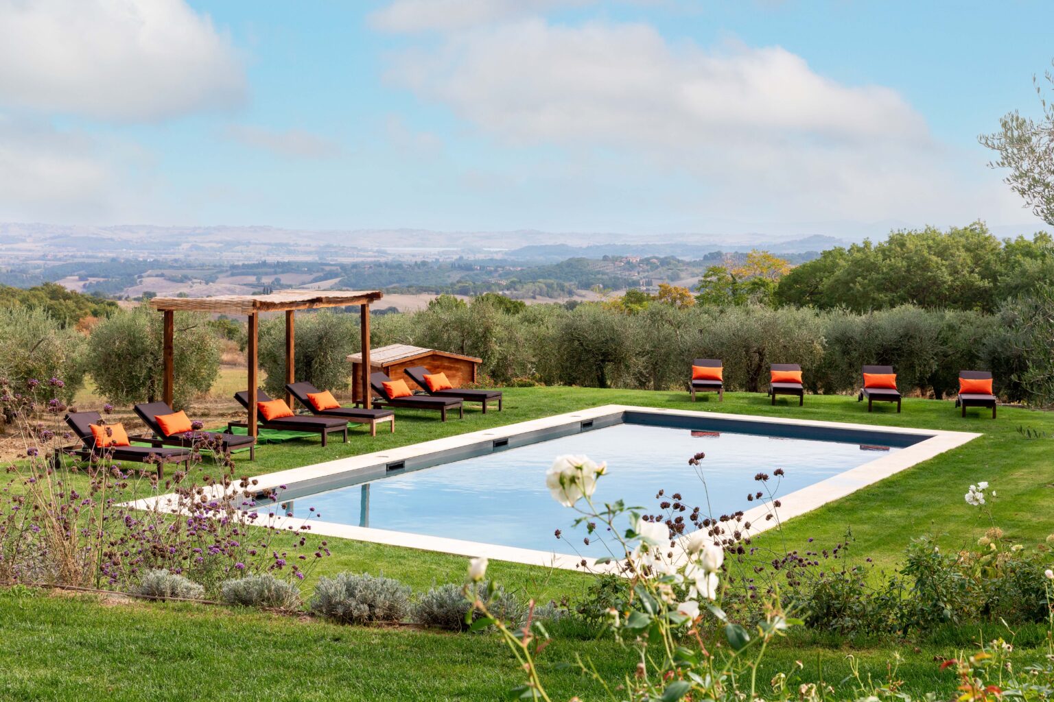 Luxury outdoor pool surrounded by olive trees and lounge chairs, with a scenic landscape in the background, ideal for relaxation and leisure activities. | Only on SopranoVillas