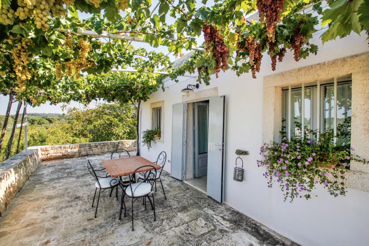 Charming outdoor patio of a white cottage featuring a rustic stone wall, a wooden table with black wrought iron chairs, and lush grapevines overhead. The scene showcases vibrant greenery and colorful flowers in window boxes, creating a serene countryside atmosphere. | Only on SopranoVillas