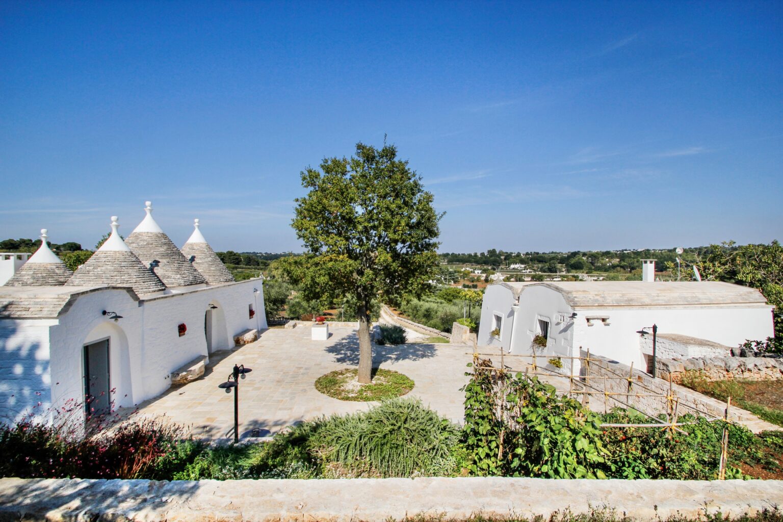 Trullo houses in a scenic countryside setting with a large tree and clear blue sky, surrounded by greenery and open space, showcasing traditional architecture of the Apulia region in Italy. | Only on SopranoVillas