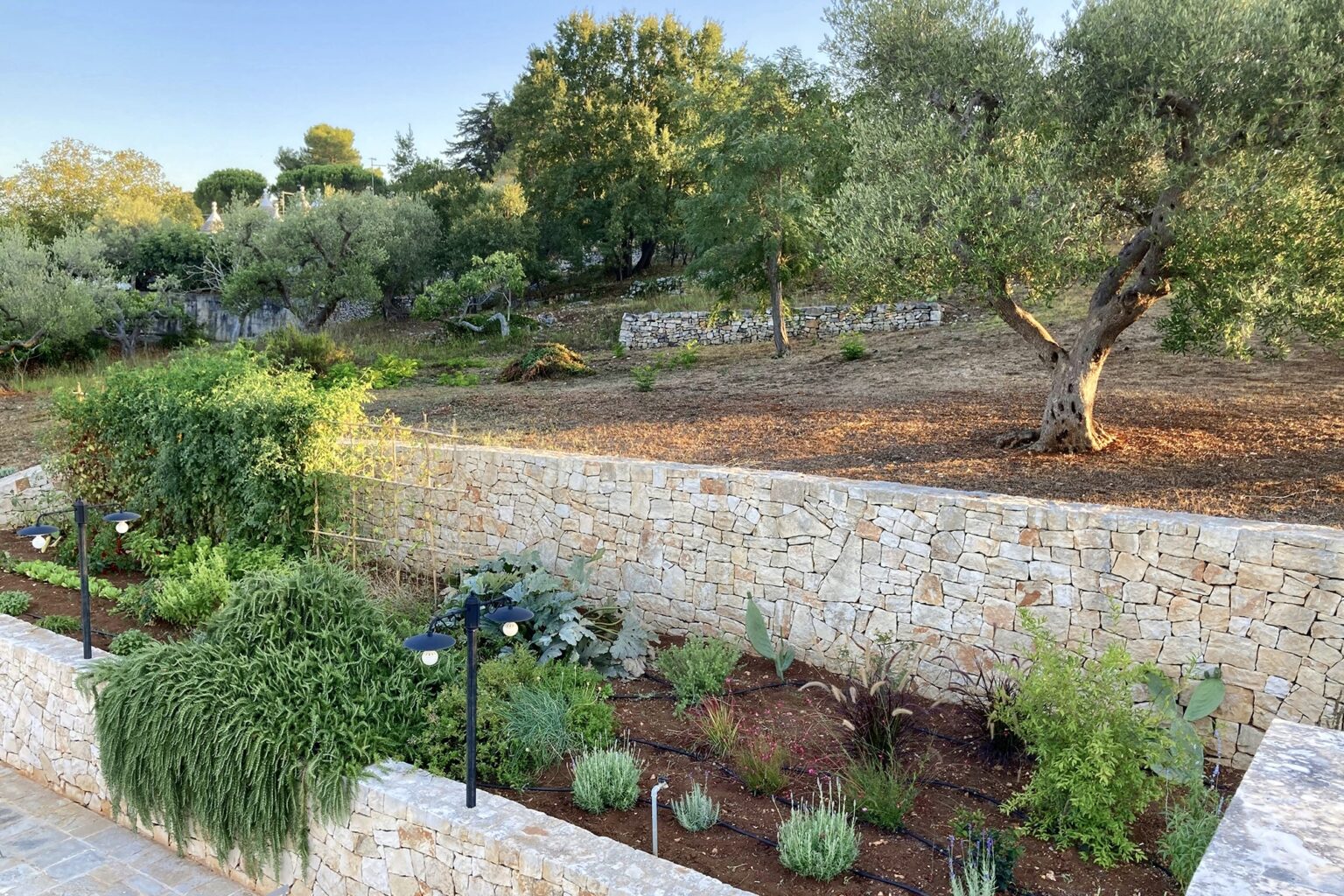 A scenic view of a lush garden surrounded by a stone wall, featuring various plants and herbs, with olive trees in the background under clear blue skies. | Only on SopranoVillas