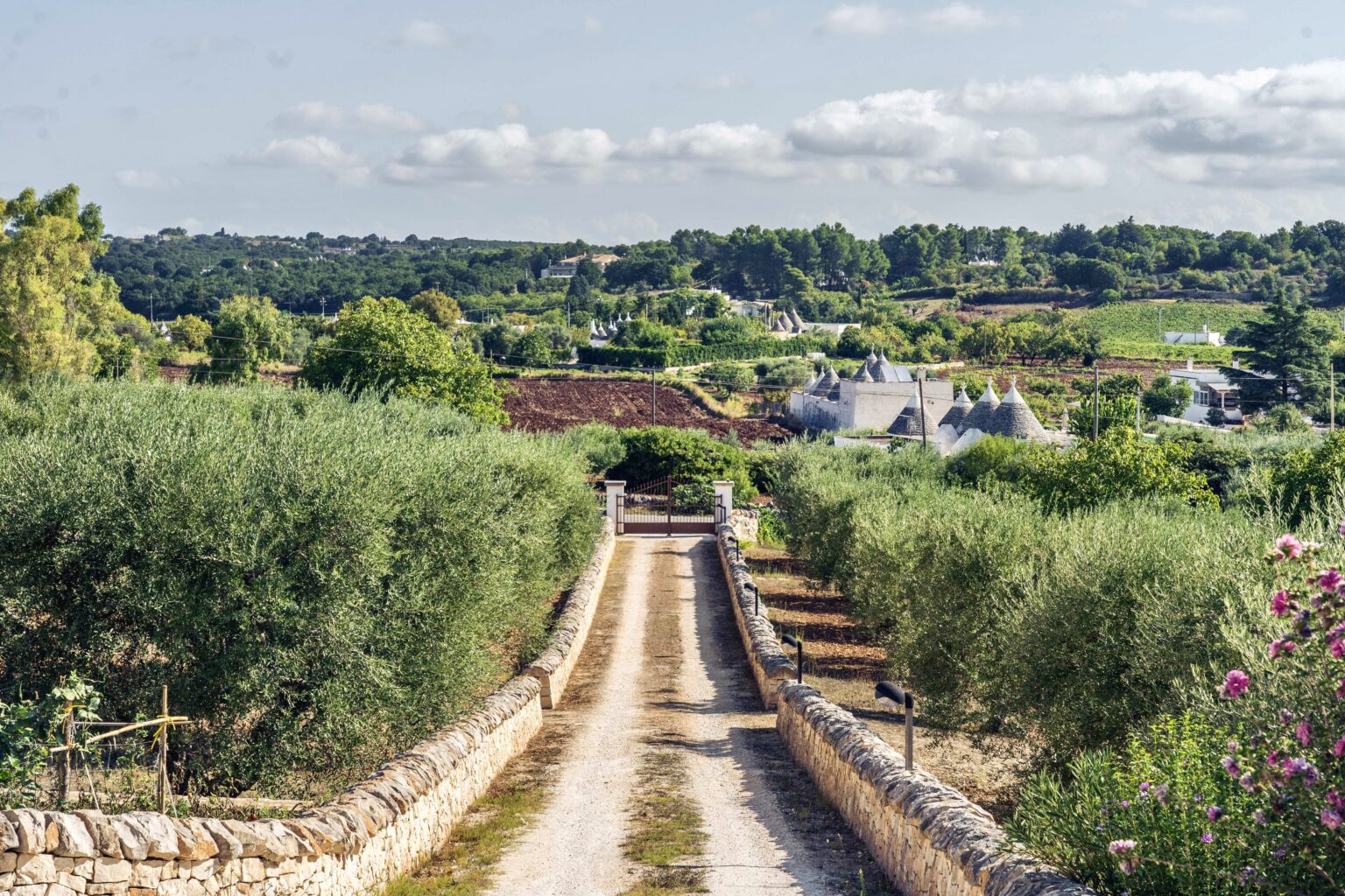 Scenic view of a rural pathway leading through olive groves, with traditional trulli houses in the background, set against a backdrop of lush green hills and a clear blue sky in a picturesque Italian landscape. | Only on SopranoVillas