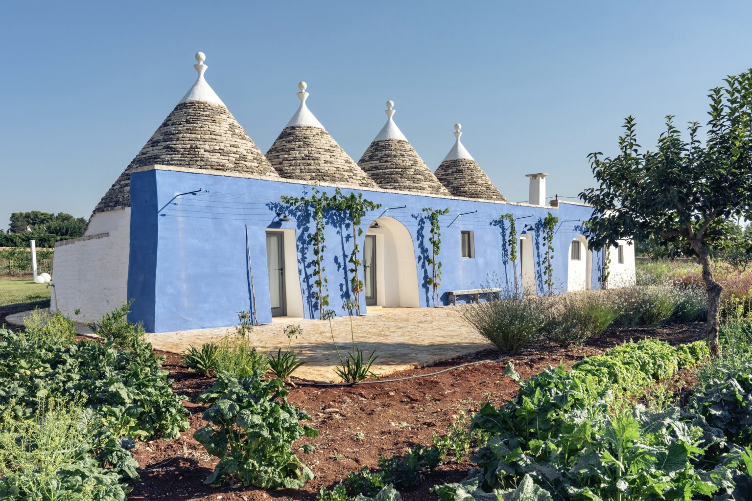 Trullo house with blue walls and conical stone roofs surrounded by a lush garden, located in a sunny rural setting. | Only on SopranoVillas
