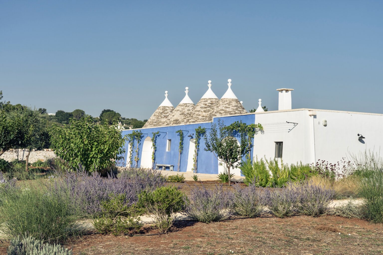 Trullo house with conical stone roofs surrounded by lush greenery and lavender, set against a clear blue sky in the Apulia region of Italy. | Only on SopranoVillas