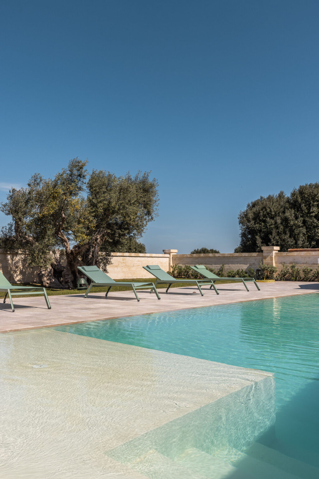 Elegant outdoor swimming pool surrounded by lounge chairs and olive trees under a clear blue sky, ideal for relaxation and leisure. | Only on SopranoVillas