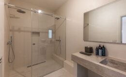 Modern bathroom interior featuring a spacious walk-in shower with transparent glass doors, minimalist design, and a sleek stone sink. The area includes neatly arranged bath products on the counter and a large mirror, creating a clean and contemporary ambiance.
