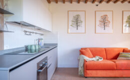 Modern kitchen and living room interior featuring a sleek gray countertop, orange sofa, and framed botanical artwork on the wall. The kitchen includes a built-in oven, stovetop, and stylish dishware. Natural light enhances the cozy atmosphere.