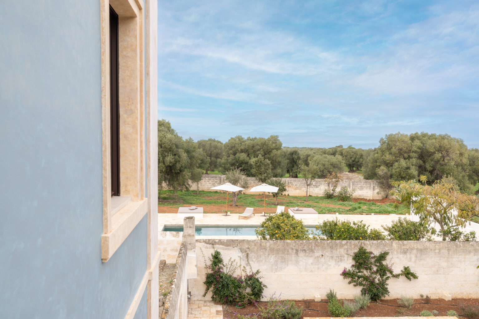 Scenic view from a modern villa showing a swimming pool surrounded by lounge chairs and umbrellas, framed by lush greenery and olive trees under a clear blue sky. | Only on SopranoVillas