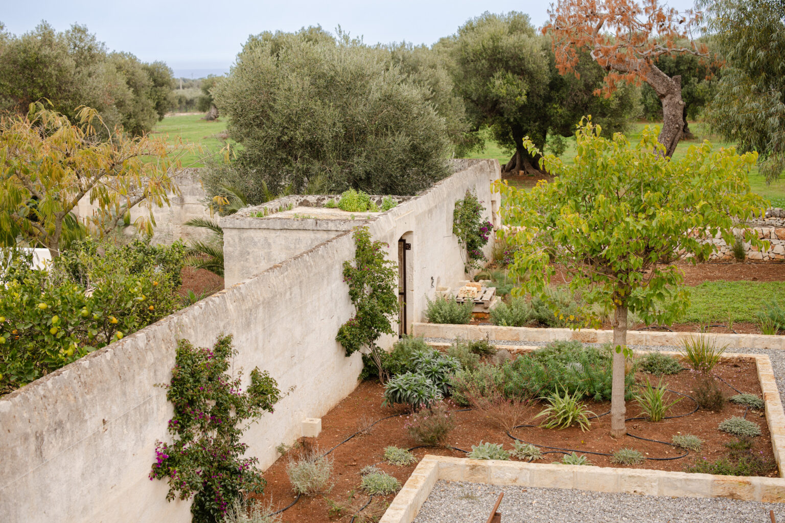 Scenic view of a garden enclosed by a rustic stone wall, featuring various plants and trees, with a backdrop of rolling hills and olive trees. | Only on SopranoVillas