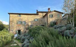 Rustic stone villa surrounded by lush greenery and lavender plants, featuring green shutters and a blue sky in the background. Ideal for vacation rentals in a serene countryside setting.