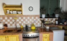 Cozy kitchen interior featuring yellow cabinets, a stainless steel stove, and a double sink. The backsplash is a checkerboard pattern of peach and white tiles. A wooden shelf displays white dishes, and potted plants add a decorative touch to the space. A vintage clock and yellow kettle enhance the homey atmosphere.