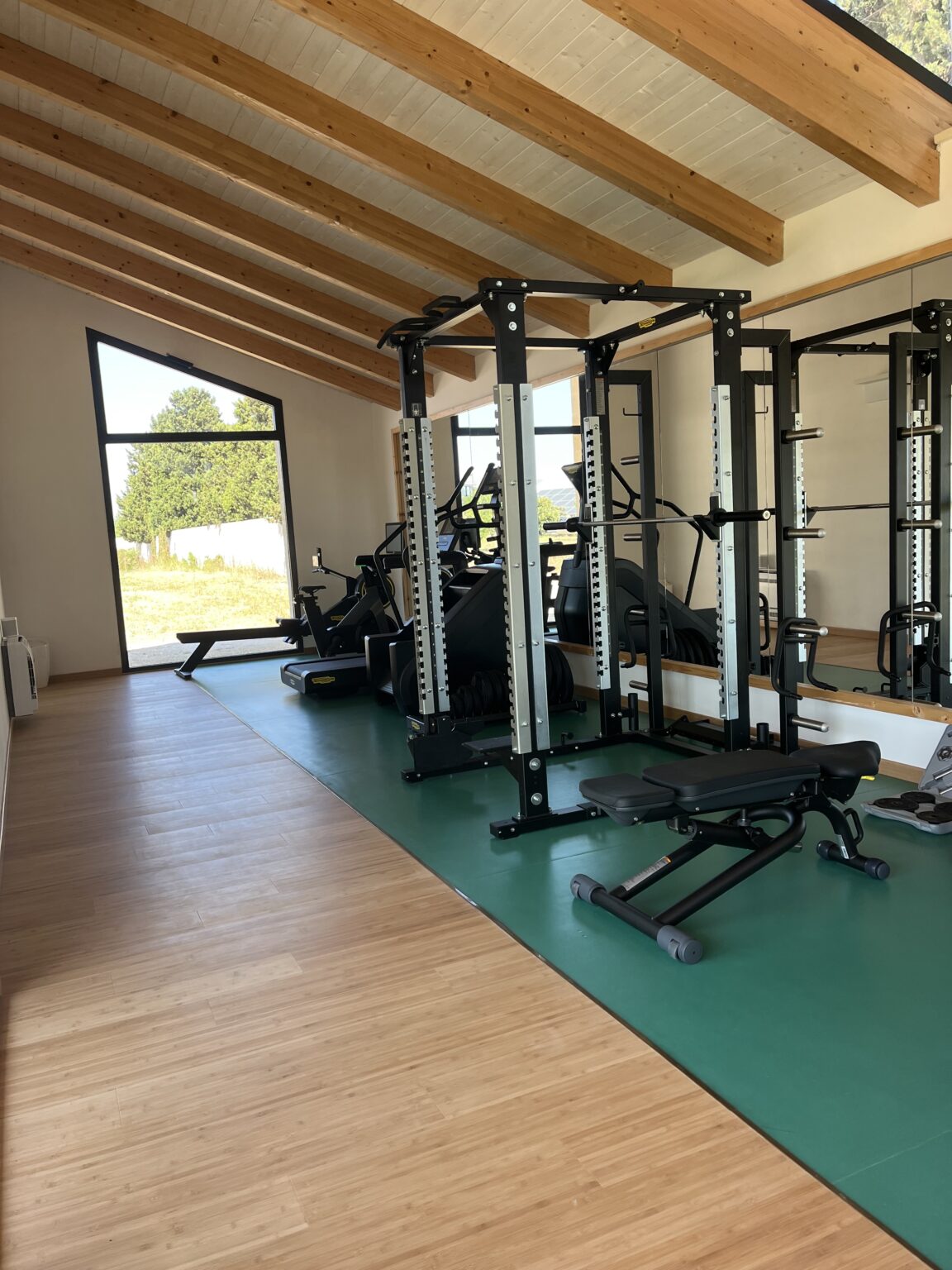 Modern gym interior featuring workout equipment, including weight racks and benches, with large windows providing natural light and a view of the outdoors. | Only on SopranoVillas