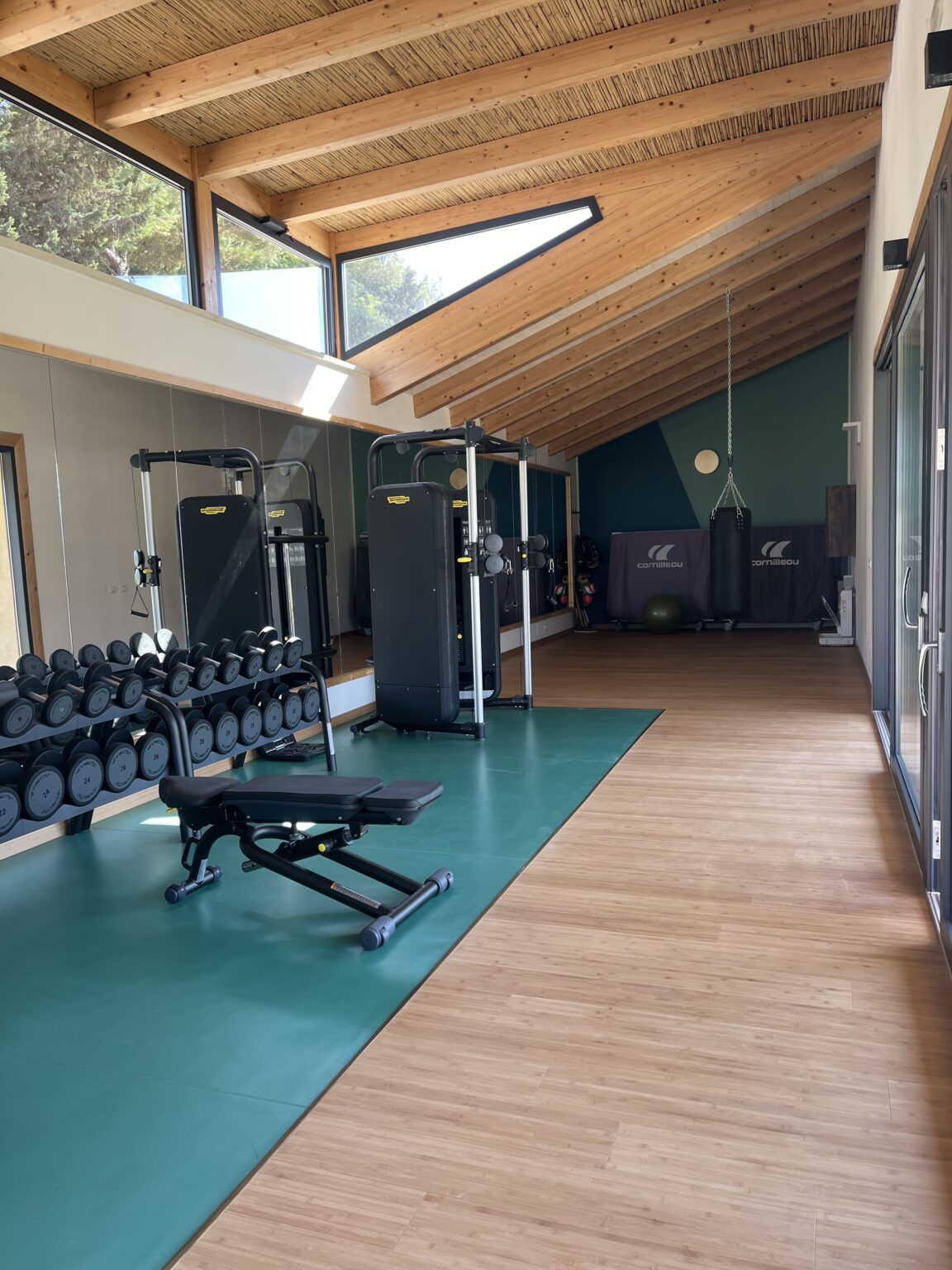 Modern home gym with free weights, weight machines, and a workout bench on a wooden floor. Bright and spacious interior featuring large windows and a high ceiling. | Only on SopranoVillas