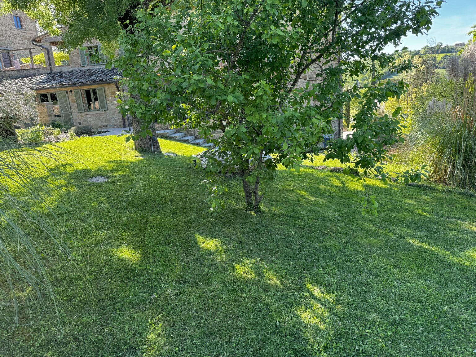 Lush green lawn with a tree casting shadows, featuring a rustic stone house in the background, surrounded by vibrant greenery and steps leading to a patio area. Ideal for showcasing outdoor living spaces and natural landscapes. | Only on SopranoVillas