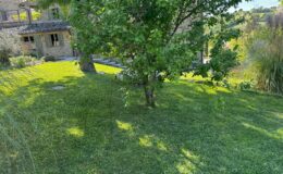 Lush green lawn with a tree casting shadows, featuring a rustic stone house in the background, surrounded by vibrant greenery and steps leading to a patio area. Ideal for showcasing outdoor living spaces and natural landscapes.