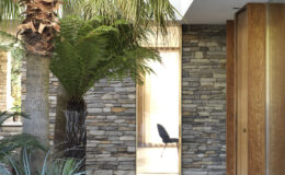 Interior view of a modern architectural space featuring a combination of stone walls, tropical plants, and a minimalist design. A glimpse of a chair is visible through a doorway, with natural light illuminating the area.