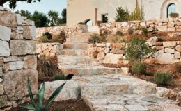 Stone pathway leading up through a landscaped garden with native plants and a modern building in the background, under a clear blue sky.