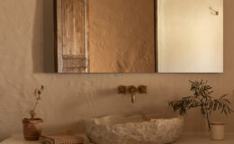 Modern bathroom design featuring a rustic stone sink, brass faucet, and a decorative mirror. A small potted plant and a folded towel add a touch of greenery and softness to the minimalist aesthetic. The warm, earthy tones of the walls and wooden door enhance the cozy atmosphere.