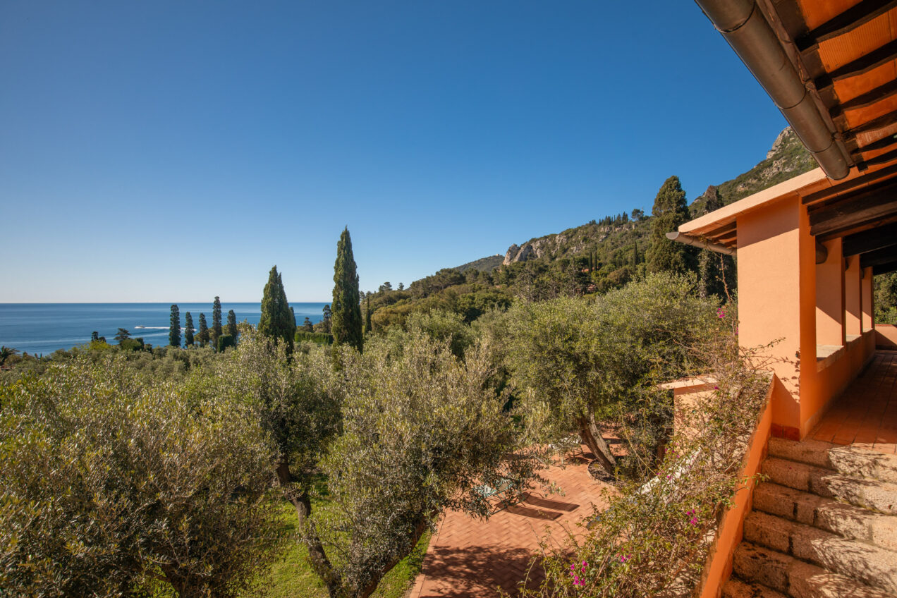 Scenic view of a coastal landscape featuring olive trees, cypress trees, and a clear blue sky, with a glimpse of the ocean and distant hills, showcasing a tranquil Mediterranean setting. | Only on SopranoVillas