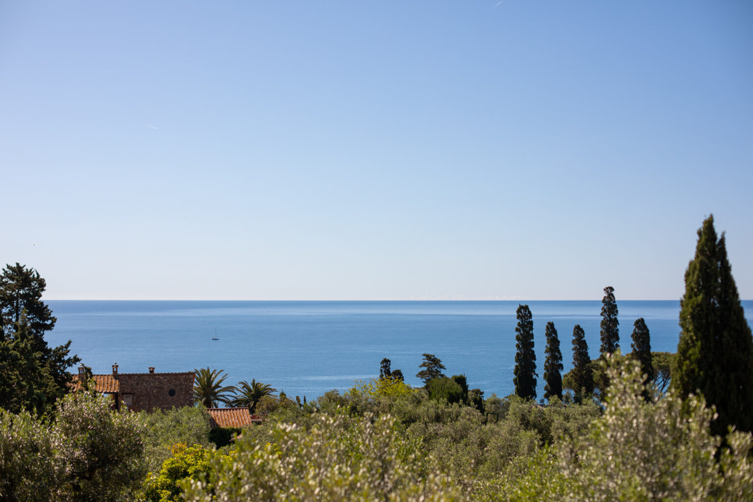 Scenic coastal view featuring a calm blue sea under a clear sky, framed by lush greenery and tall trees, with a distant sailboat visible on the horizon. | Only on SopranoVillas