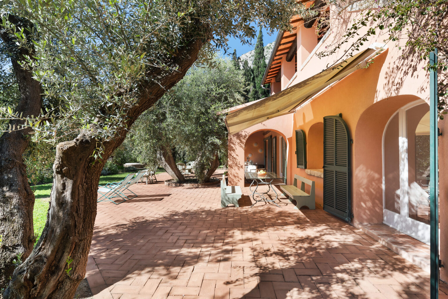 Charming outdoor patio of a Mediterranean villa featuring terracotta tiles, olive trees, and comfortable seating, perfect for relaxation in a serene garden setting. | Only on SopranoVillas