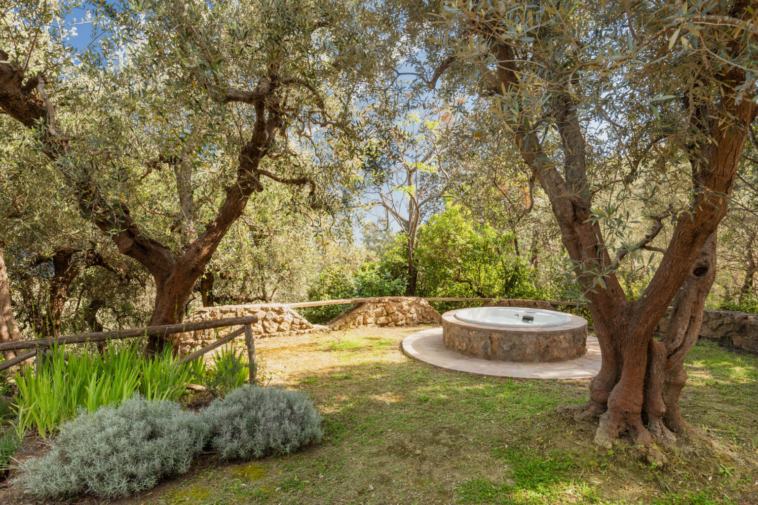 Serene outdoor space featuring olive trees, lush greenery, and a circular stone hot tub, ideal for relaxation and nature retreats. | Only on SopranoVillas