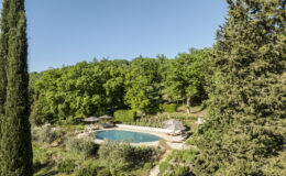 Serene outdoor swimming pool surrounded by lush greenery, featuring sun loungers and umbrellas, ideal for relaxation in a tranquil setting. Perfect for vacation rentals or luxury retreats.