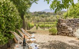 Relaxing outdoor seating area with loungers overlooking lush vineyards and distant mountains, featuring a bottle of red wine and a glass on a tray, set in a tranquil garden environment.